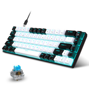 68-Key Hot-Swappable Wired Mechanical Gaming Keyboard – Clicky Blue Switches, Double-Shot PBT Keycaps & Ice-Blue Backlight